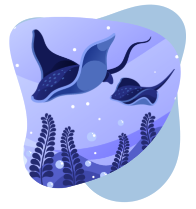 aquatic life